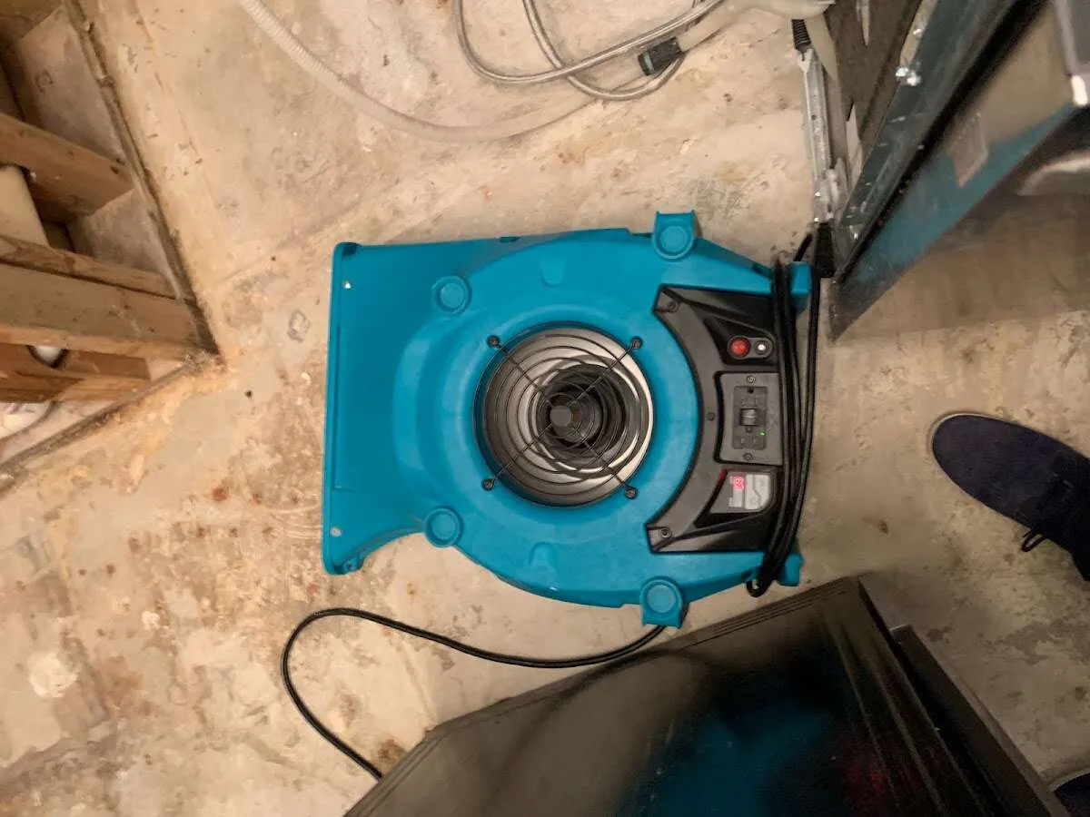 Air mover drying equipment for Mold Remediation & Removal in Tallulah