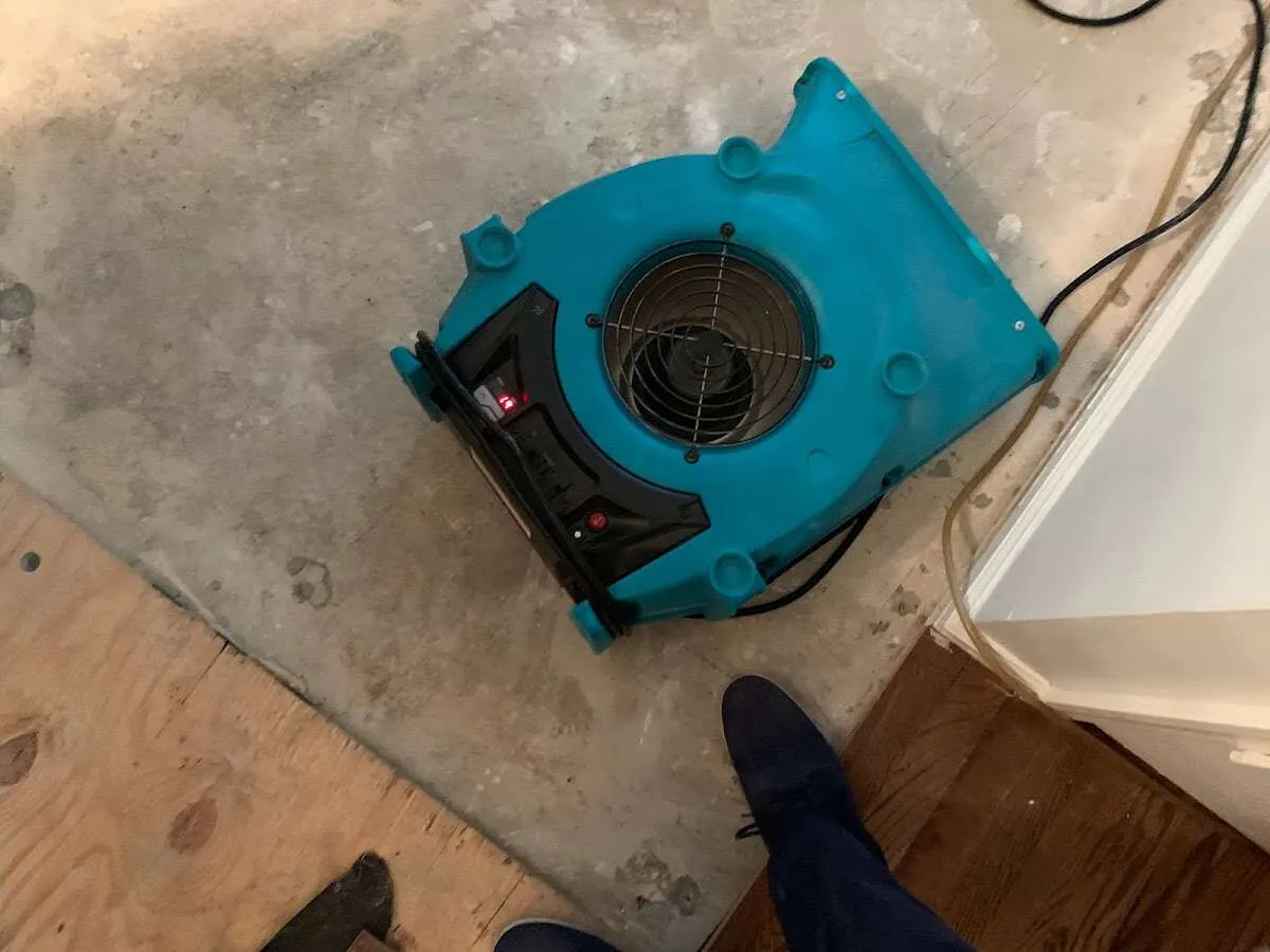 Air mover drying subfloor during Commercial Water Damage Restoration in Tallulah